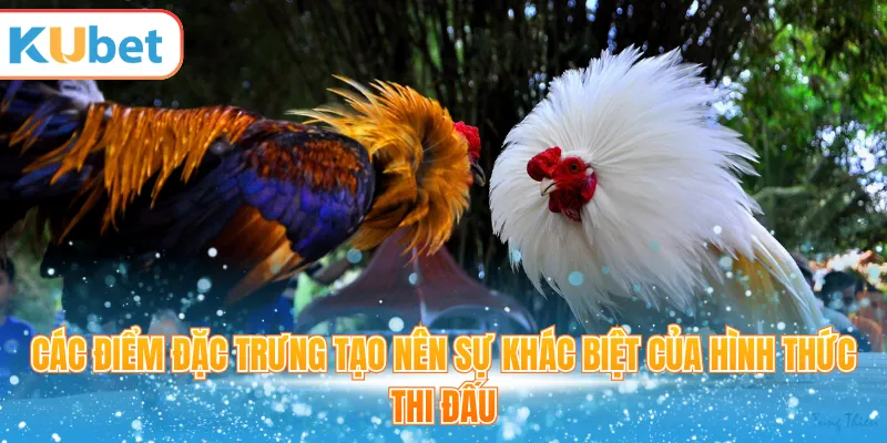 Các điểm đặc trưng tạo nên sự khác biệt của hình thức thi đấu