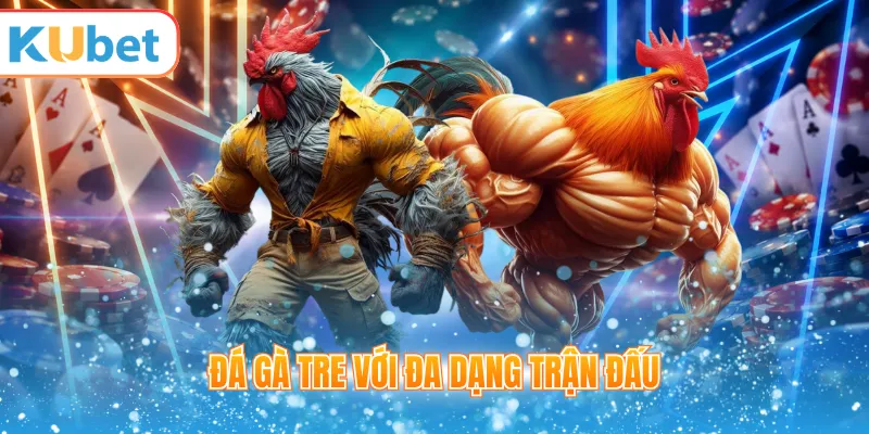 Đá gà tre với đa dạng trận đấu