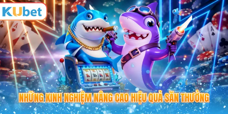 Những kinh nghiệm nâng cao hiệu quả săn thưởng 